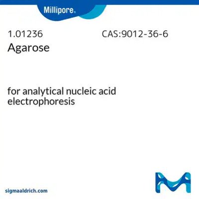 AGAROSE FOR ANALYTICAL NUCLEIC ACID ELECTROPHORESIS 500 G