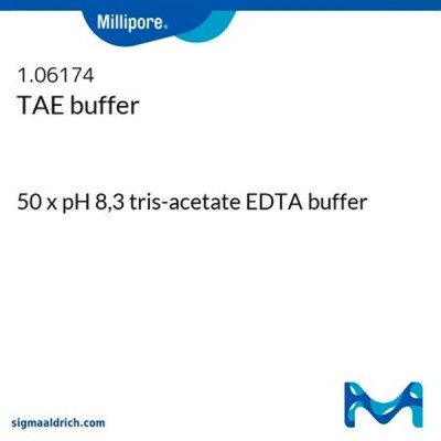 TAE BUFFER 50 X PH 8,3 TRIS-ACETATE EDTA BUFFER 1 L