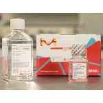 HISTOPAQUE-1077 500 ML