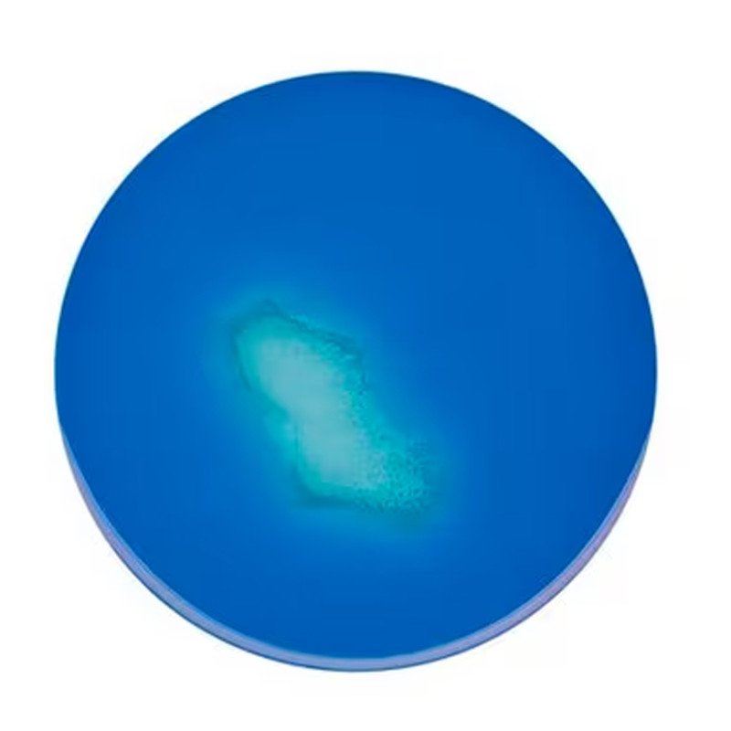 MSRV medium (base) 500 G