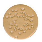 POTATO GLUCOSE AGAR FOR MICROBIOLOGY (39 500 G