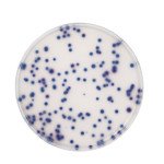 COLIFORM AGAR FOR MICROBIOLOGY (26,5 G F 500 G