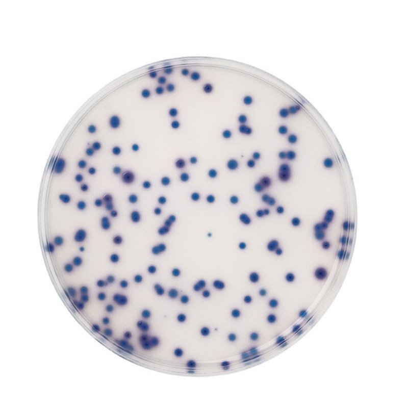 COLIFORM AGAR FOR MICROBIOLOGY (26,5 G F 500 G
