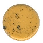 TSC (Tryptose Sulfite Cyclos 500 G
