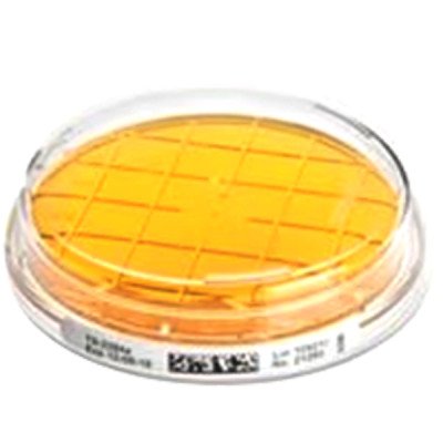 ReadyPlate CT VRBG Agar  ISO 21528