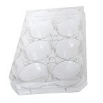 Multi Well Plate, w/o cover, Non-Treated, 6 wells, flat bottom