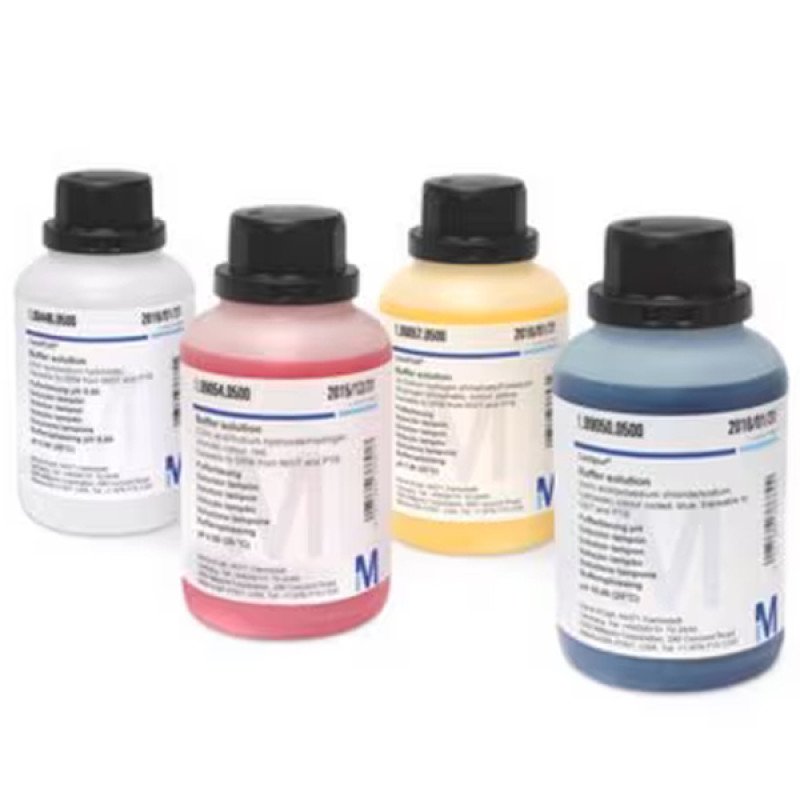 Buffer solution pH 10.00 blu 500 ML