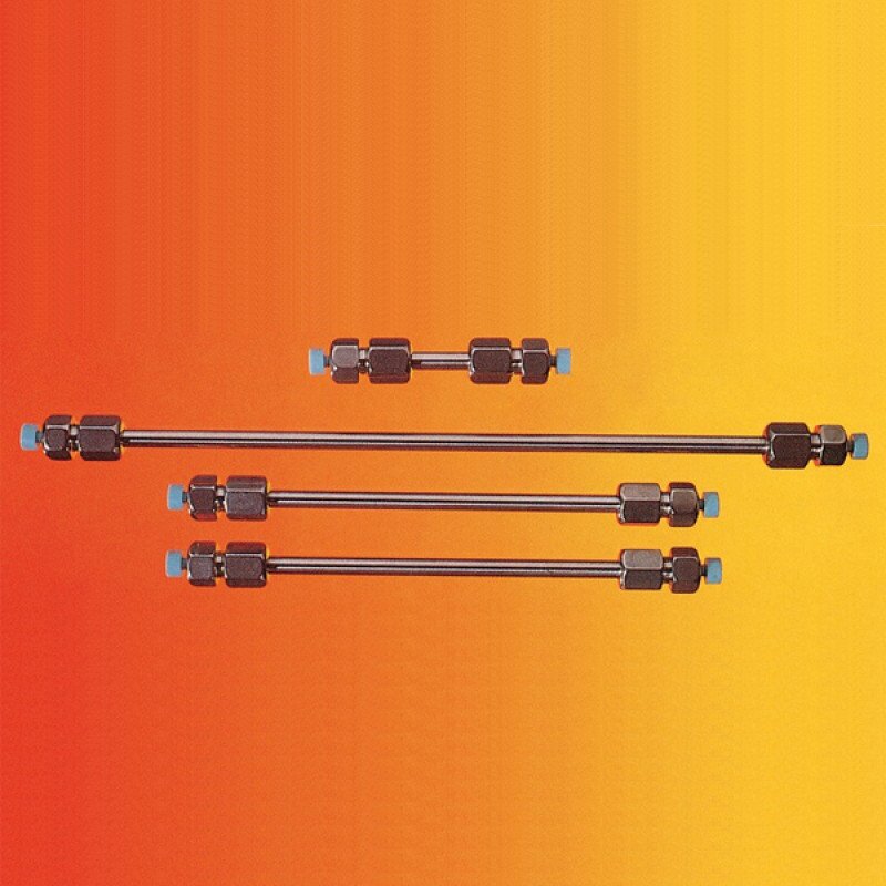 PARTISIL 10 SCX 250 X 4.6MM