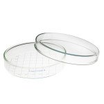 Petri Dish 100 x 15 mm with White Grid