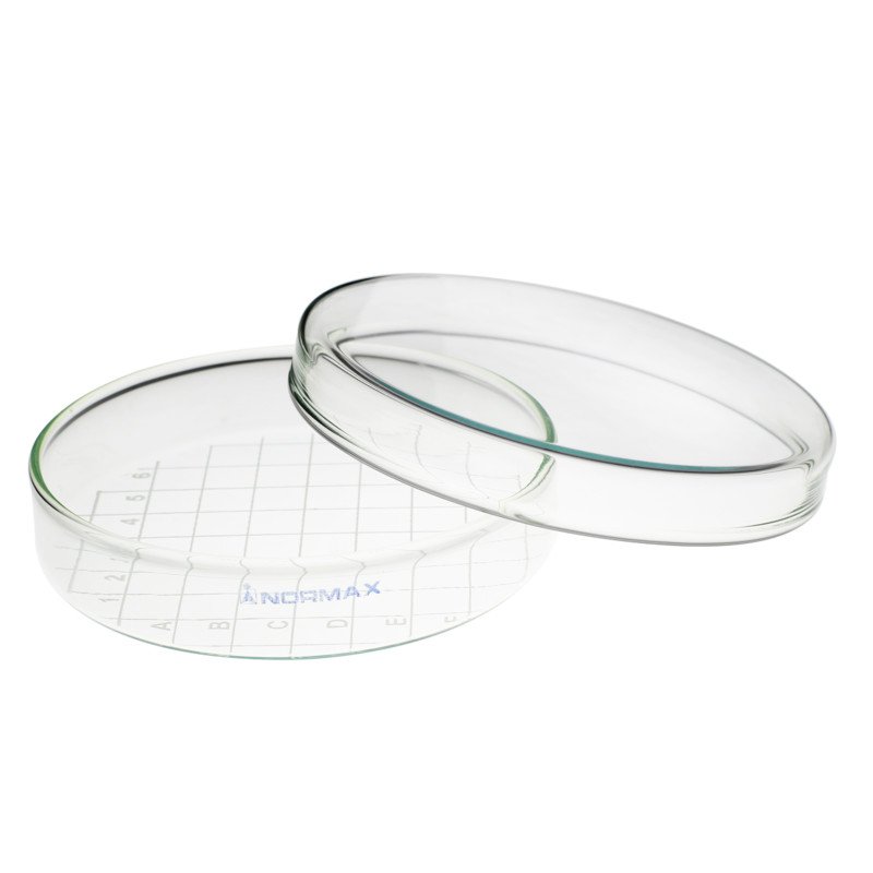 Petri Dish 100 x 15 mm with White Grid