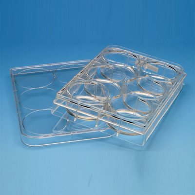 CYTOSOFT(R), ELASTIC MODULI 0.5 KPA, 6 & 5 EA