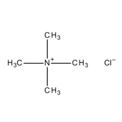 TETRAMETHYLAMMONIUM CHLORIDE FOR SYNTHES 250 G