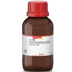 BOVINE SERUM ALBUMIN SOLUTION, 30%2%& 500 ML