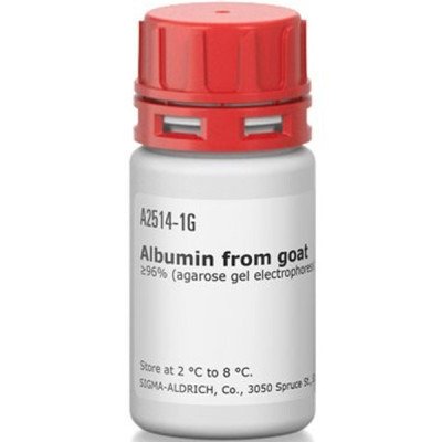ALBUMIN GOAT FRACTION V POWDER 1 G