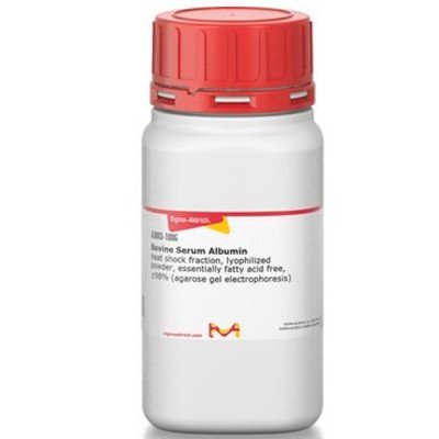 BOVINE SERUM ALBUMIN, LYOPHILIZED POWD 100 G