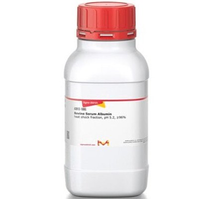 BOVINE SERUM ALBUMIN, HEAT SHOCK FRACT& 100 G