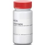 L-ASPARAGINE SUITABLE FOR CELL CULTURE& 25 G