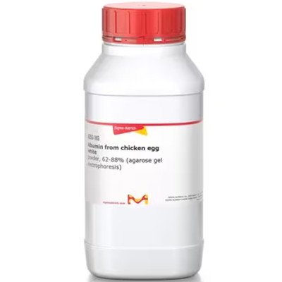 ALBUMIN CHICKEN EGG GRADE II 1 KG