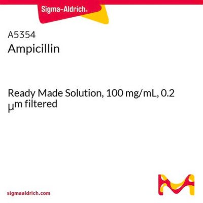 AMPICILLIN READY MADE SOLUTION 10 ML