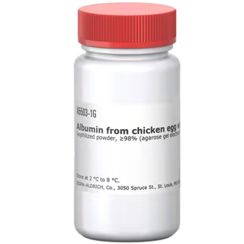 ALBUMIN CHICKEN EGG GRADE V 1 G
