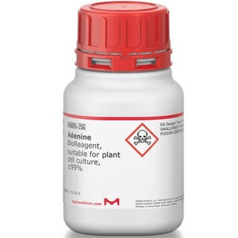 ADENINE, BIOREAGENT,  99% PLANT CELL& 25 G