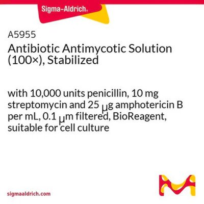 ANTIBIOTIC ANTIMYCOTIC SOLUTION (100X),& 100 ML