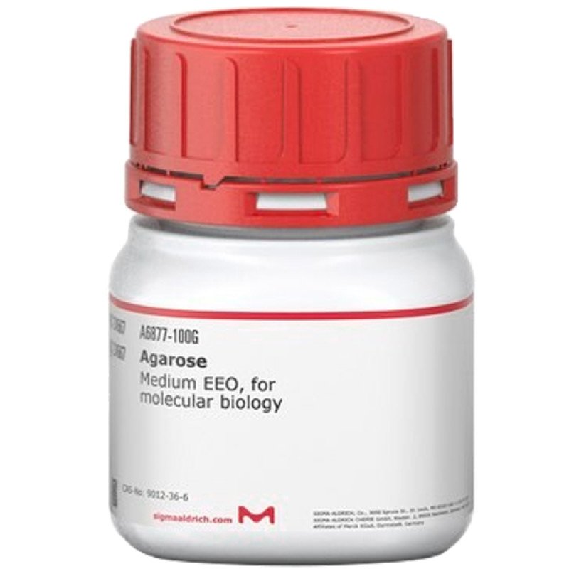 AGAROSE MEDIUM EEO FOR MOLECULARBIOLOGY 100 G
