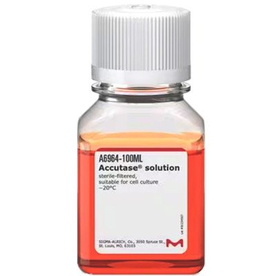 ACCUTASE 100 ML