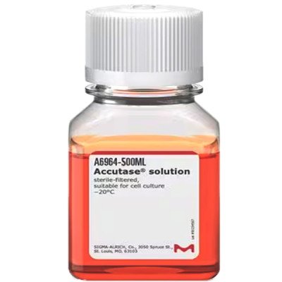 ACCUTASE 500 ML