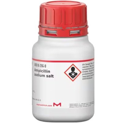 AMPICILLIN SODIUM SALT 25 G