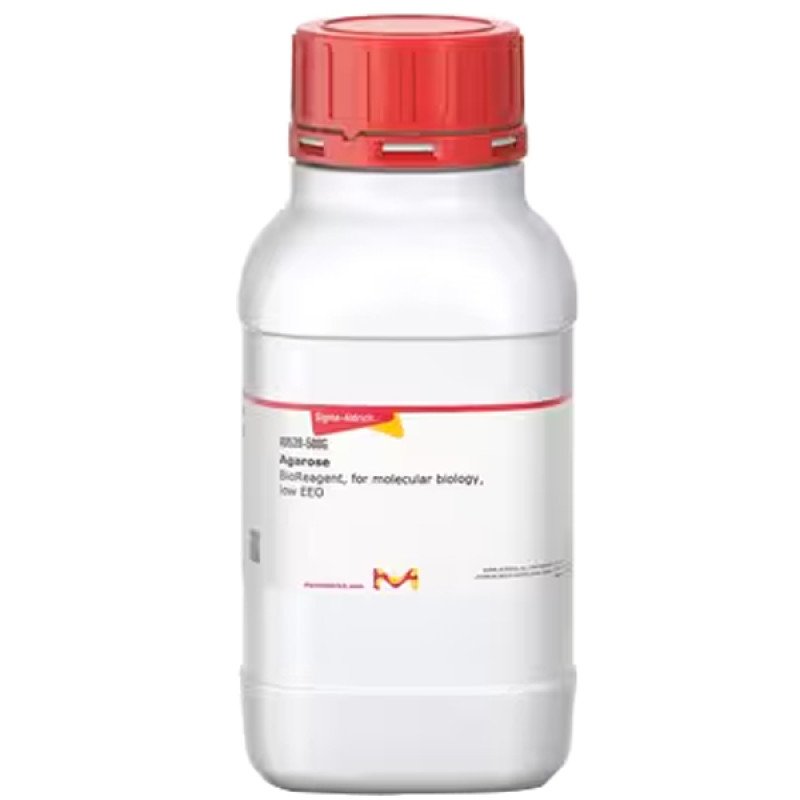 AGAROSE, BIOREAGENT, FOR MOLECULAR BIOL& 500 G