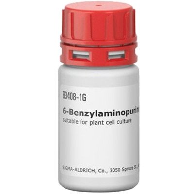 6-BENZYLAMINOPURINE PLANT CELL CULTURE & 1 G