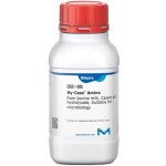 HY-CASE AMINO 100 G