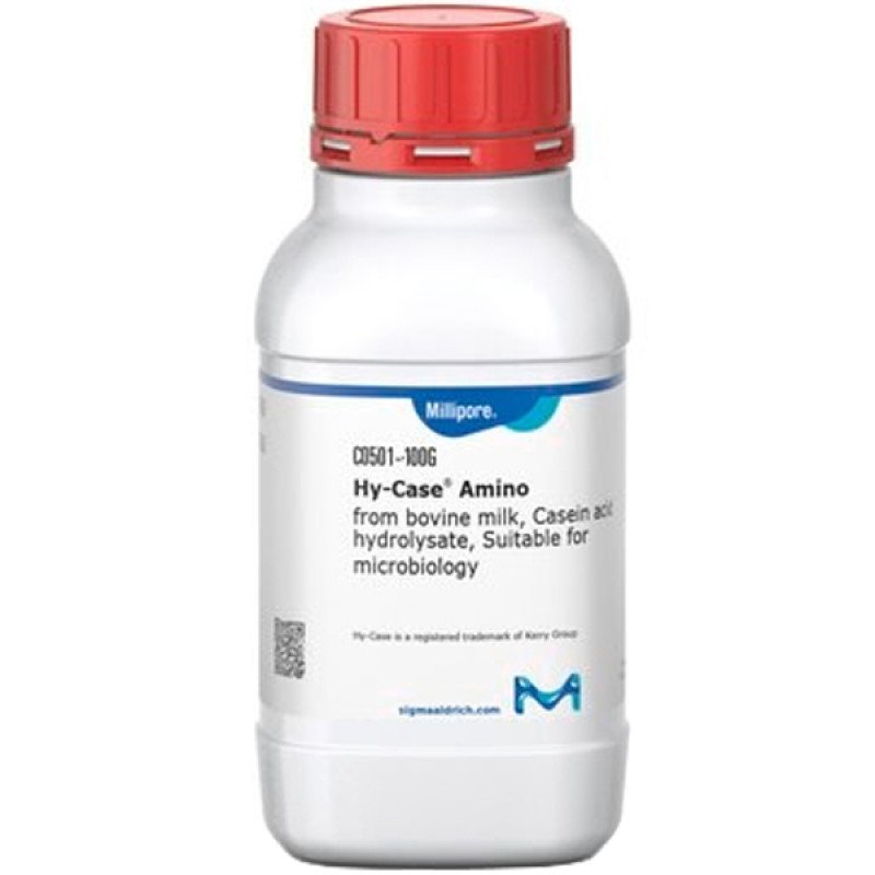 HY-CASE AMINO 100 G