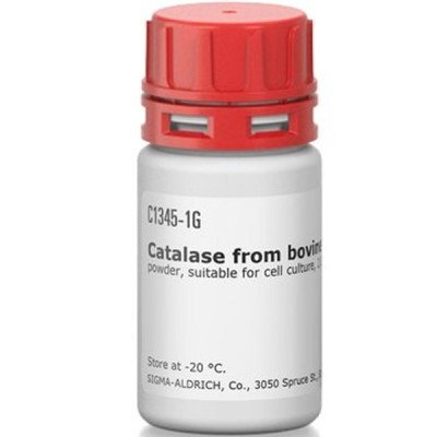 CATALASE FROM FROM BOVINE LIVER, BIOREA& 1 G