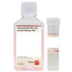 MSC GROWTH MEDIUM DXF 500 ML