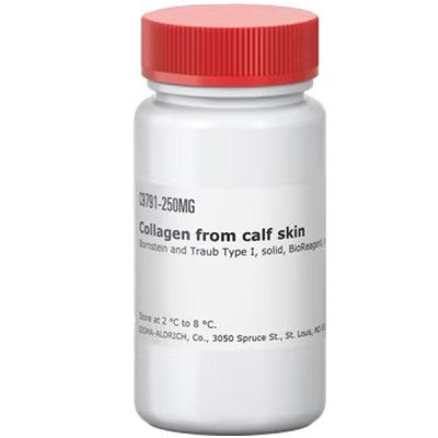 COLLAGEN FROM FROM CALF SKIN BIOREAGENT& 250 MG