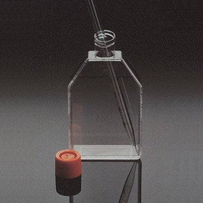 CORNING(R) CELL CULTURE FLASKS SURFACE & 50 EA