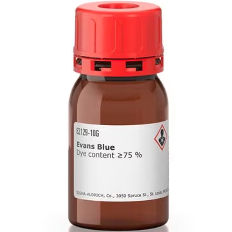 EVANS BLUE 10 G