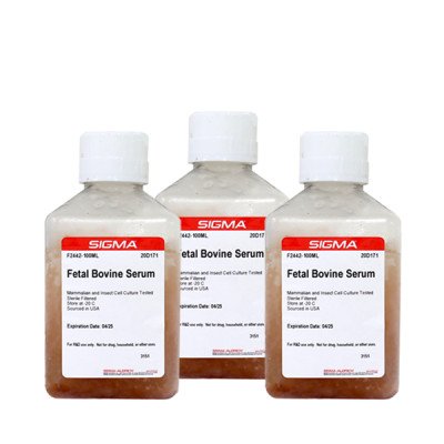 FETAL BOVINE SERUM, USA ORIGIN, STERILE- 100 ML