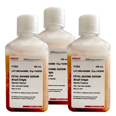 Fetal Bovine Serum 100 ML