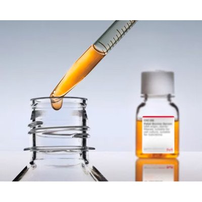 FETAL BOVINE SERUM DIALYZED 10,000 MOLEC 100 ML