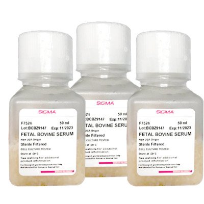 Fetal Bovine Serum 50 ML
