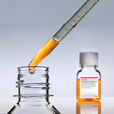 HUMAN SERUM TYPE AB (MALE) FROM CLOTTED 100 ML