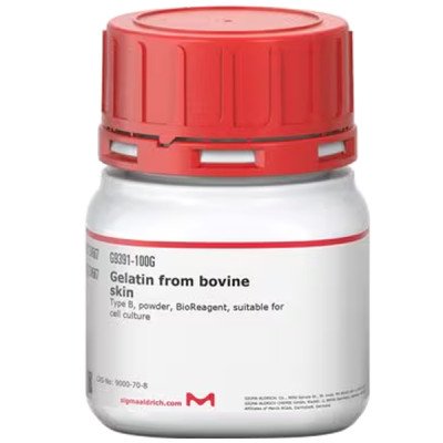 GELATIN FROM FROM BOVINE SKIN TYPE B, B& 100 G