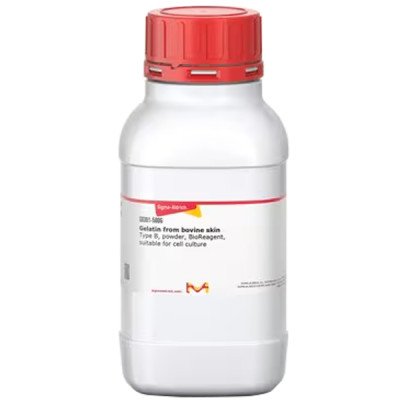GELATIN FROM FROM BOVINE SKIN TYPE B, B& 500 G