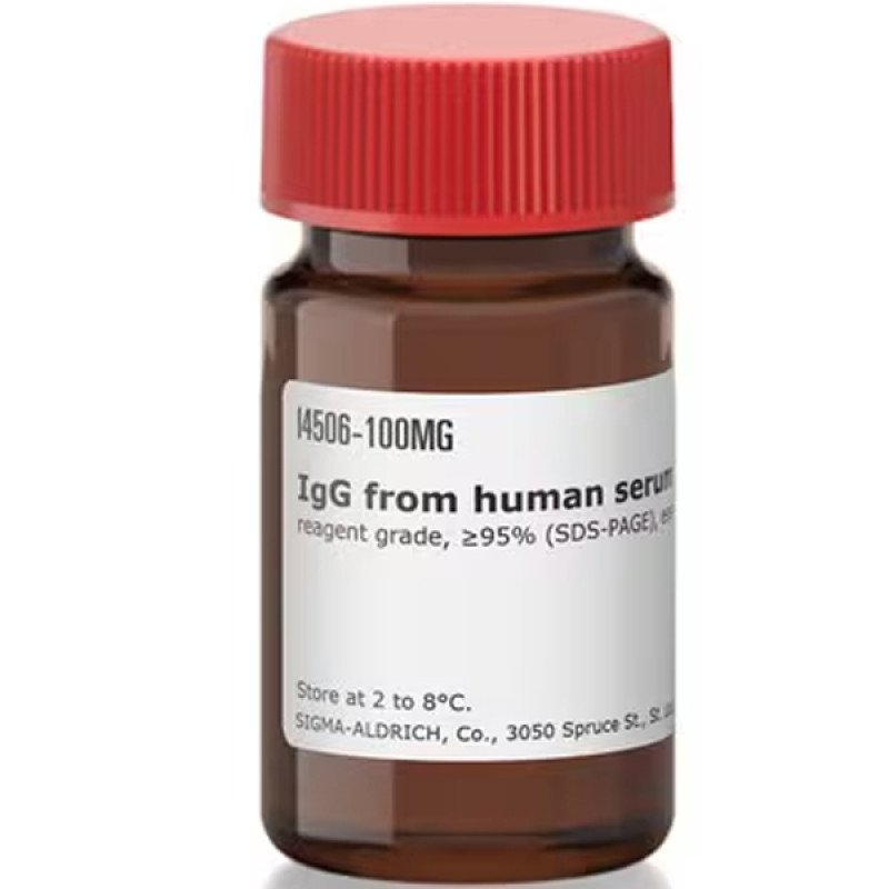 IGG FROM HUMAN SERUM 100 MG
