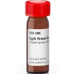 IGG FROM HUMAN SERUM 10 MG