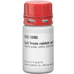 RABBIT IMMUNOGLOBULIN G (IGG), FROM & 100 MG