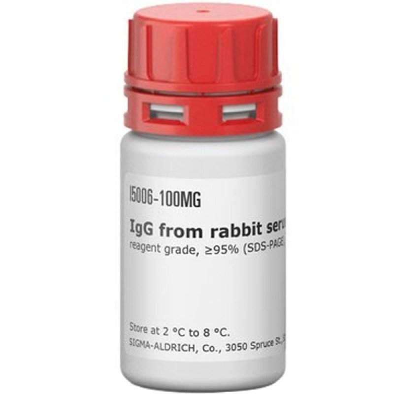 RABBIT IMMUNOGLOBULIN G (IGG), FROM & 100 MG